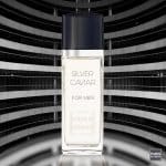 Silver Caviar Eau De Toilette Herren – 100ml Duft Von Paris Elysees | Aromatisch-holzig Mit Orange, Lavendel & Moschus