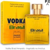Vodka Brasil Yellow Paris Elysees Perfume Masculino 100ml EDT (1)