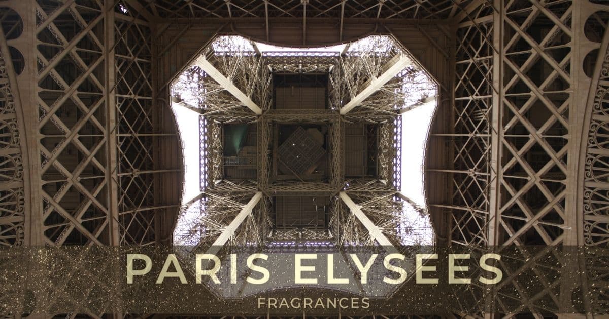 Perfume Paris Elysees Masculino