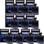 Kit Vodka Wild Paris Elysees Perfume Masculino 100ml 10 unidades